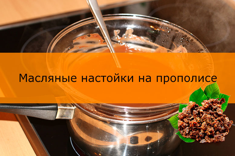 Своими руками настойка прополиса Своими руками настойка прополиса