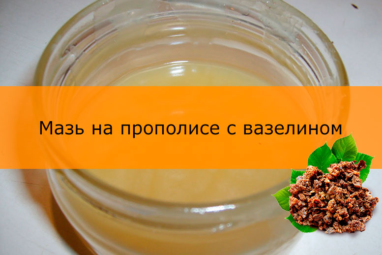 Мазь из прополиса и воска в домашних условиях 809