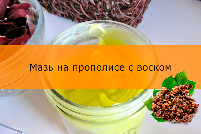 Рецепт прополюсу с облепиховим маслом Рецепт прополюсу с облепиховим маслом